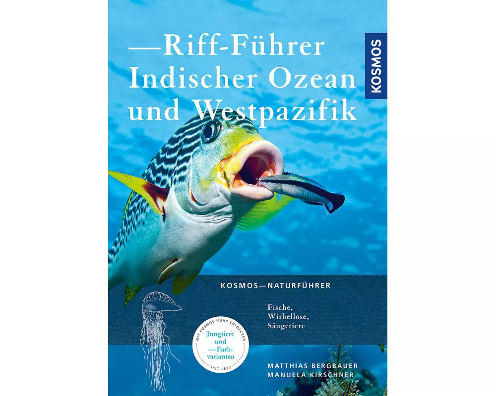 Riff-Führer Indischer Ozean und Westpazifik