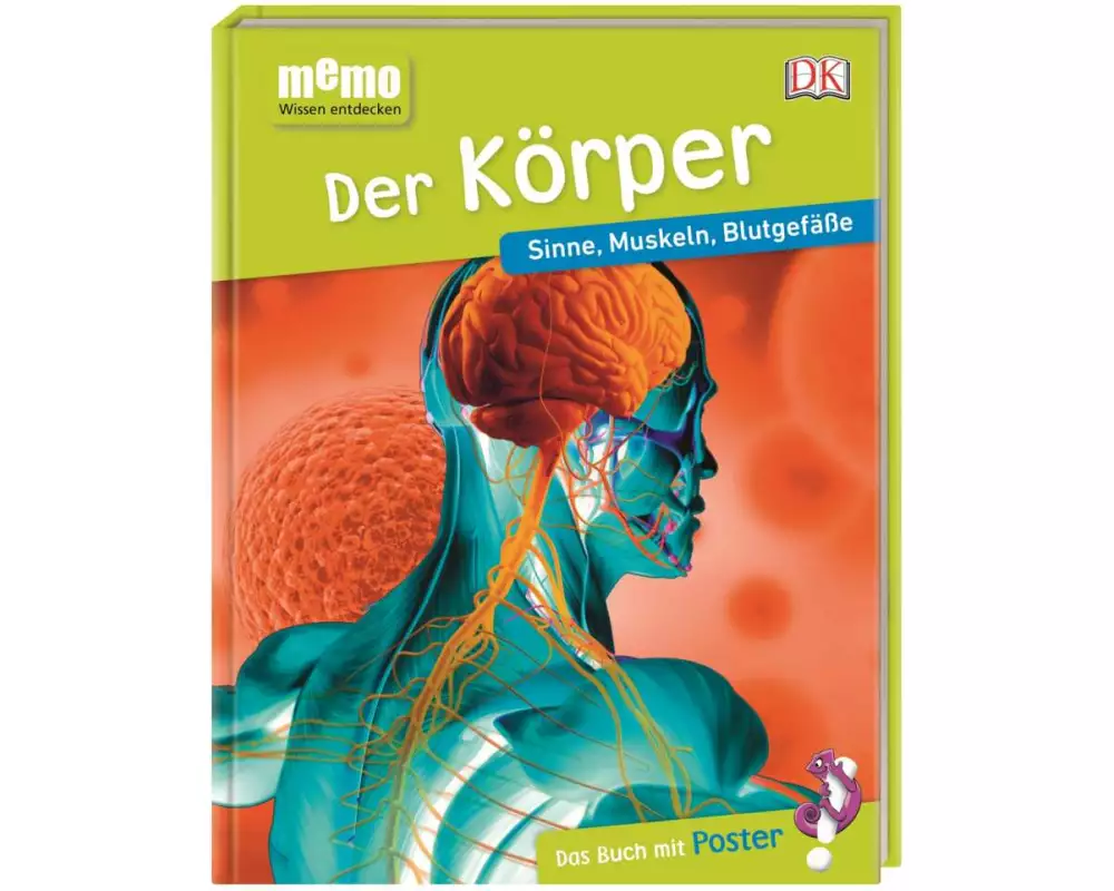 memo Wissen entdecken. Der Körper