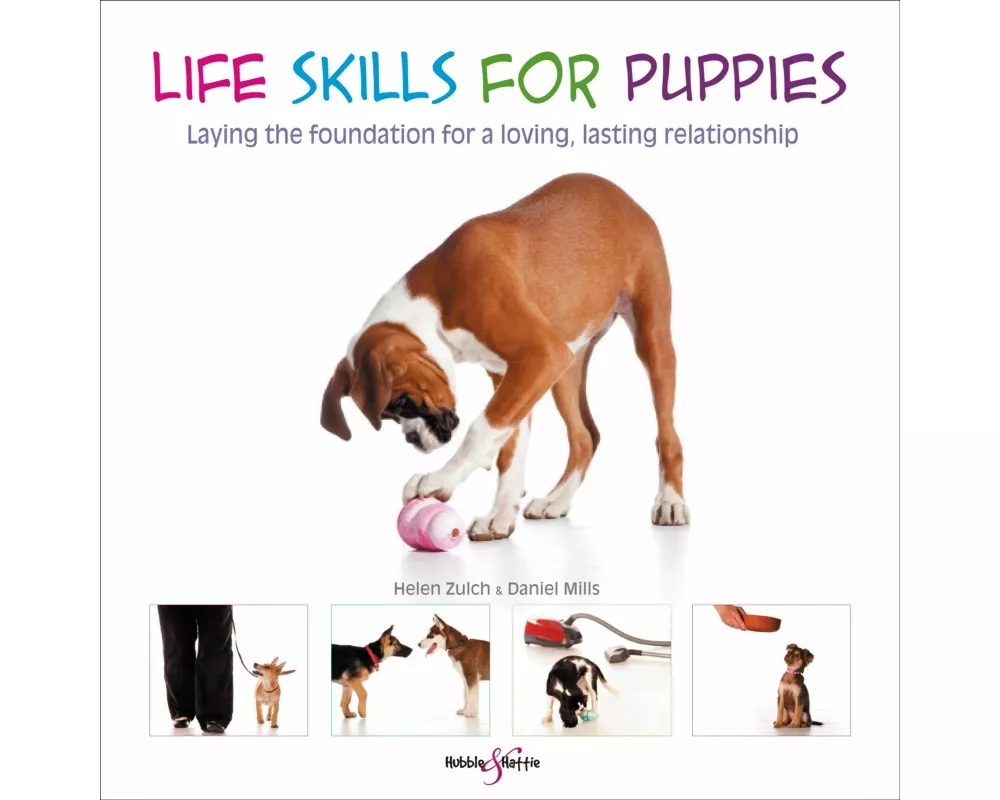 Life skills for puppies