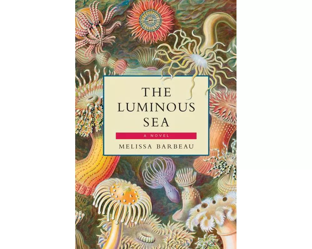 The Luminous Sea