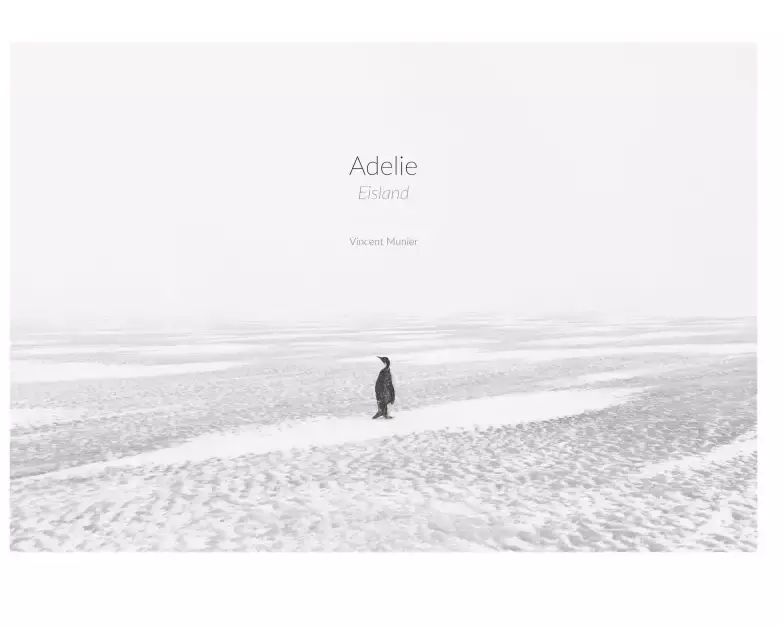 Adelie: Eismeer – Eisland