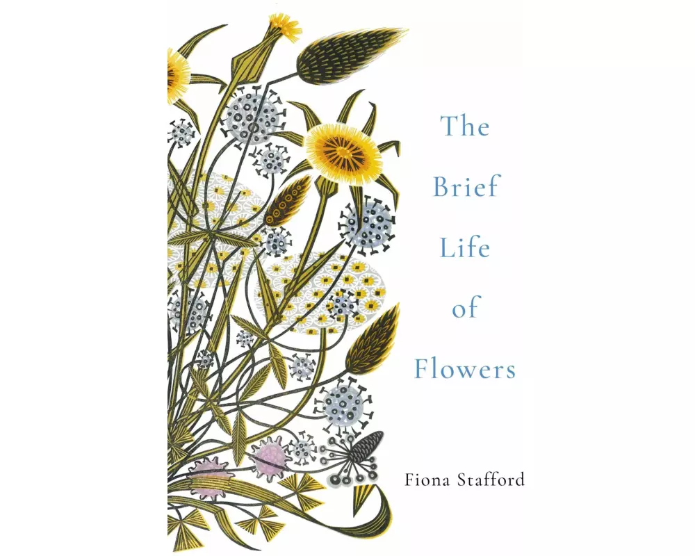 The Brief Life of Flowers
