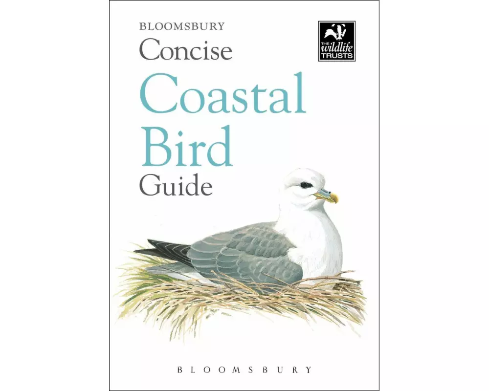 Concise Coastal Bird Guide