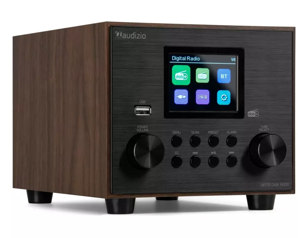 Audizio DAB+ Radio Vieste Braun