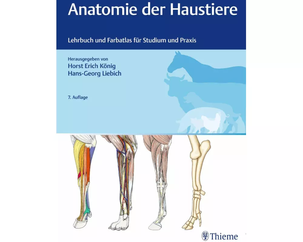 Anatomie der Haustiere