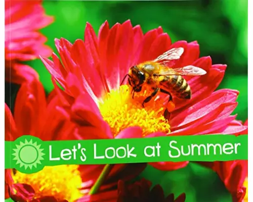 Let's Look at Summer