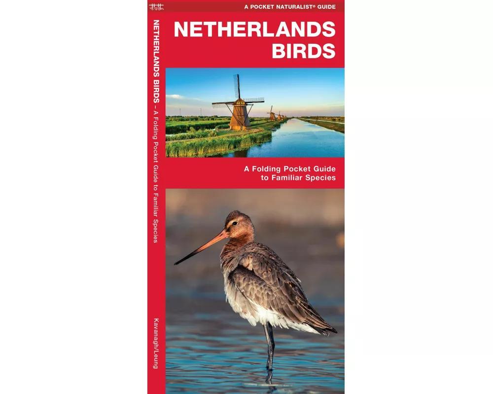 Netherlands Birds