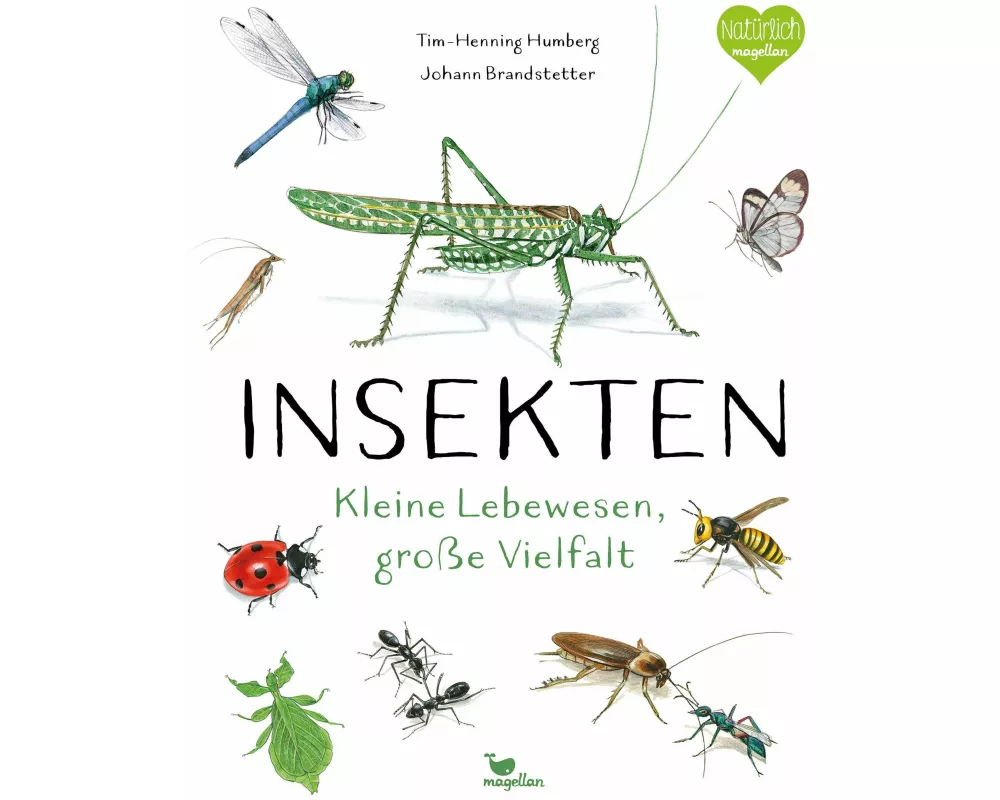 Insekten - Kleine Lebewesen, große Vielfalt