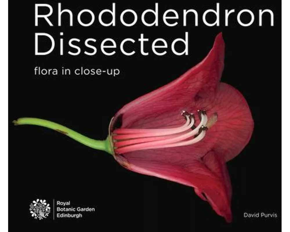 Rhododendron Dissected