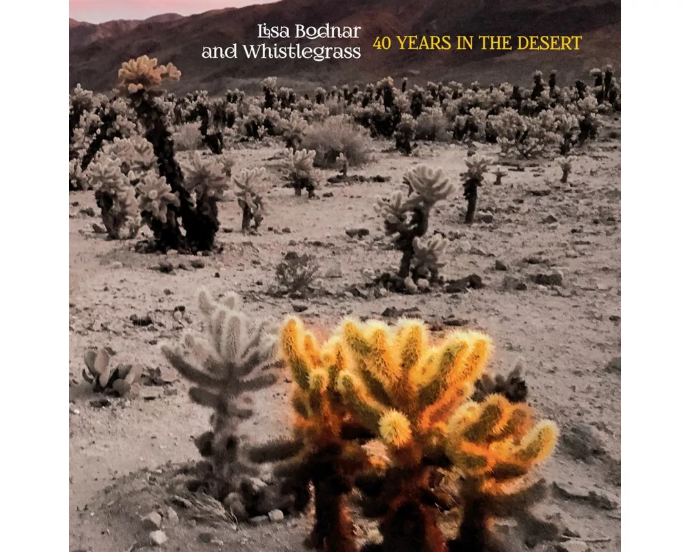40 Years In The Desert