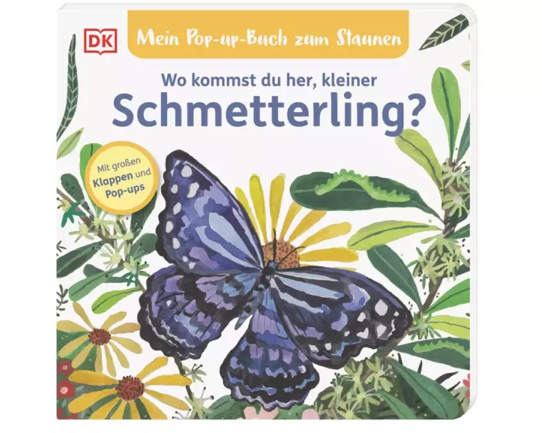 Mein Pop-up-Buch zum Staunen. Wo kommst du her, kleiner Schmetterling?