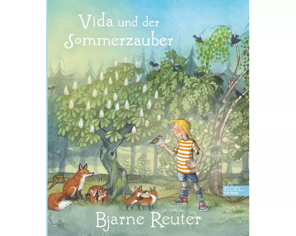 Vida und der Sommerzauber