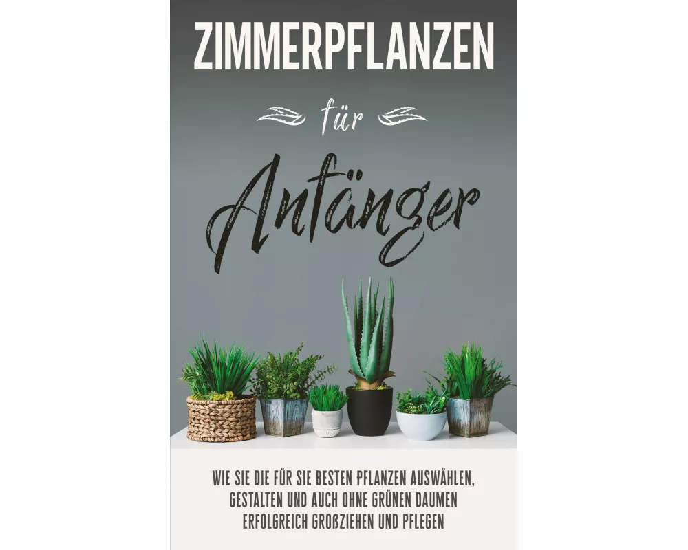 Zimmerpflanzen für Anfänger
