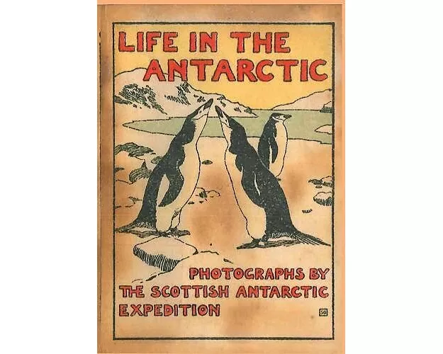 Life In The Antarctic