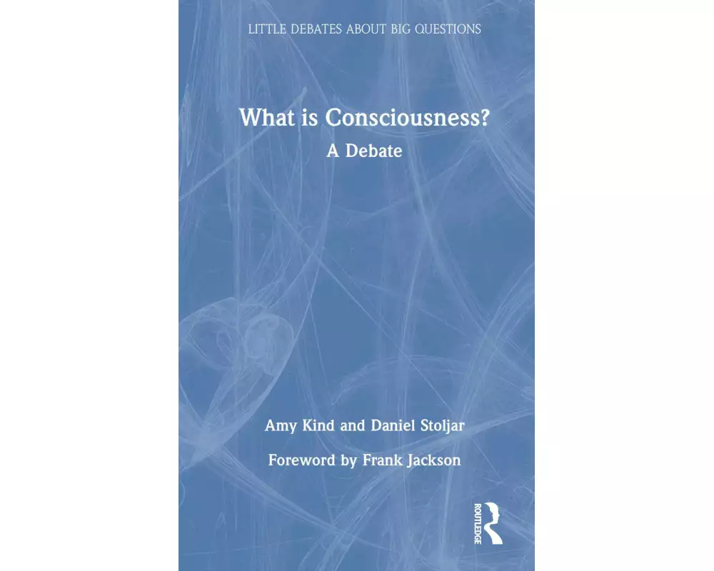 What is Consciousness?