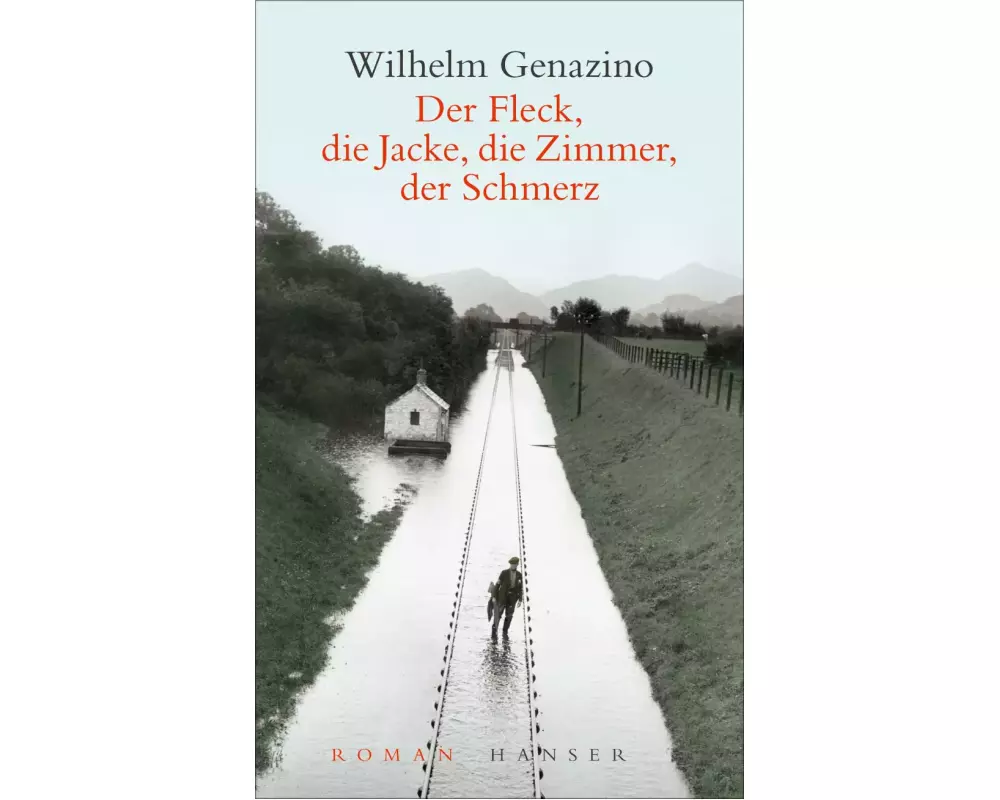 Der Fleck, die Jacke, die Zimmer, der Schmerz