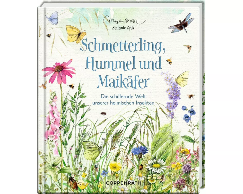 Schmetterling, Hummel und Maikäfer