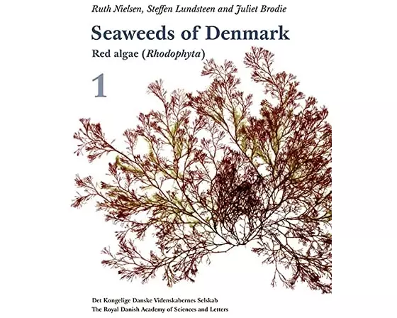 Seaweeds of Denmark