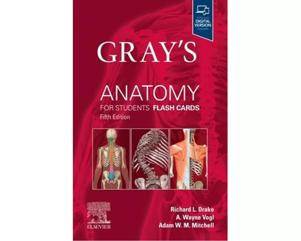 Gray's Anatomy for Students Flash Cards