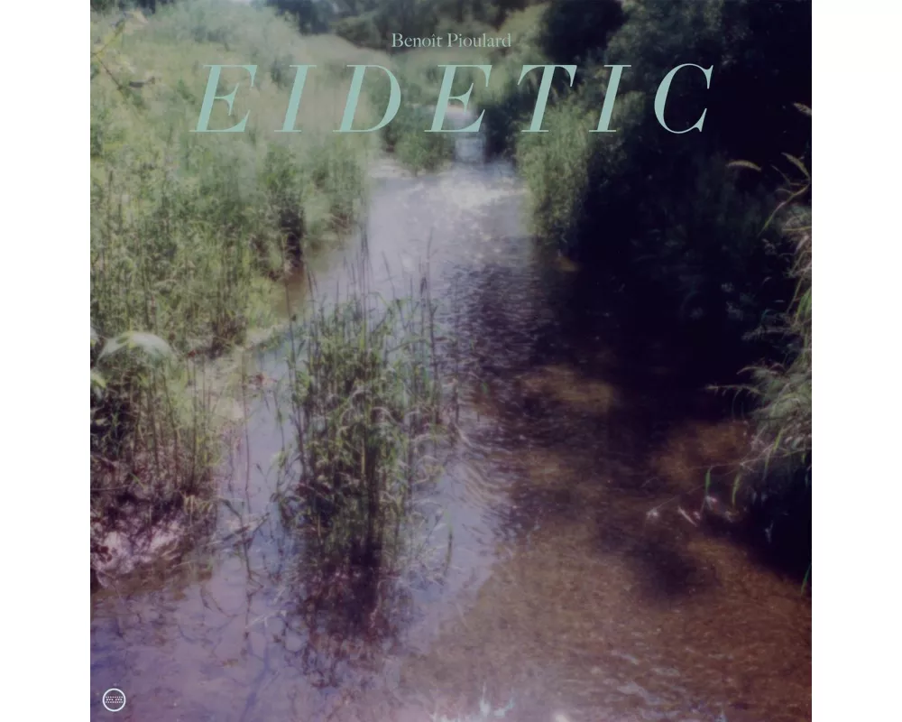 Eidetic