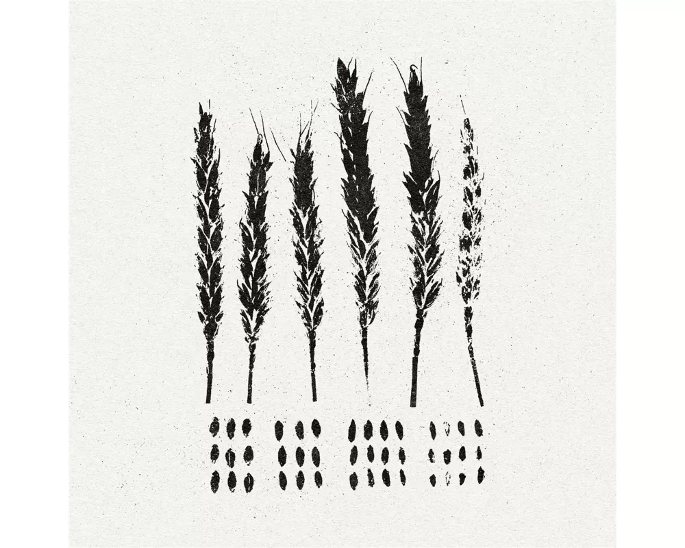The Gleaners