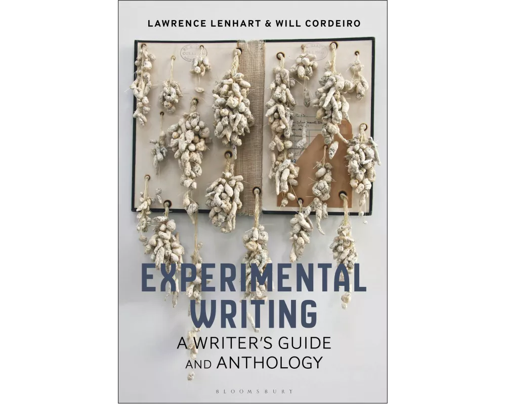 Experimental Writing