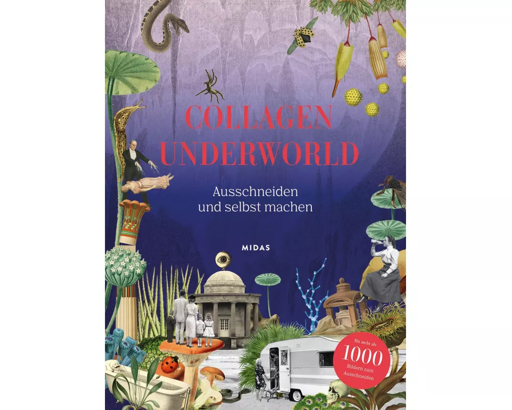 Collagen Underworld