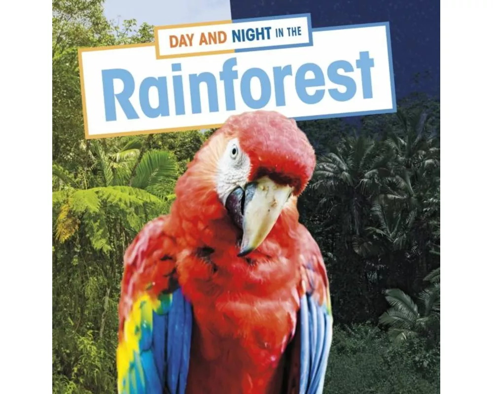 Day and Night in the Rainforest