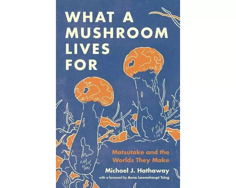What a Mushroom Lives For