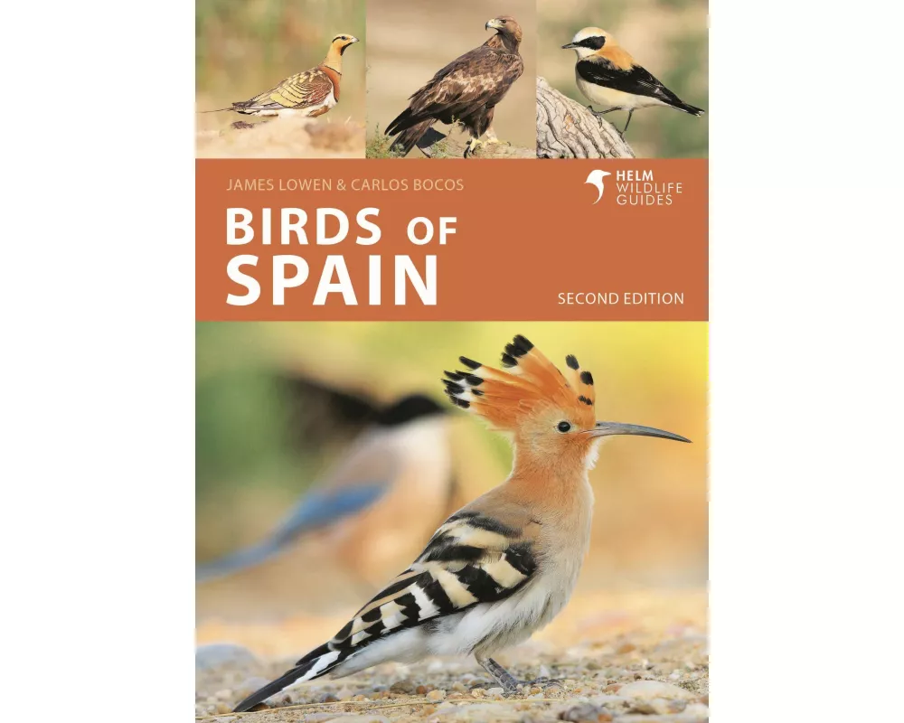 Birds of Spain