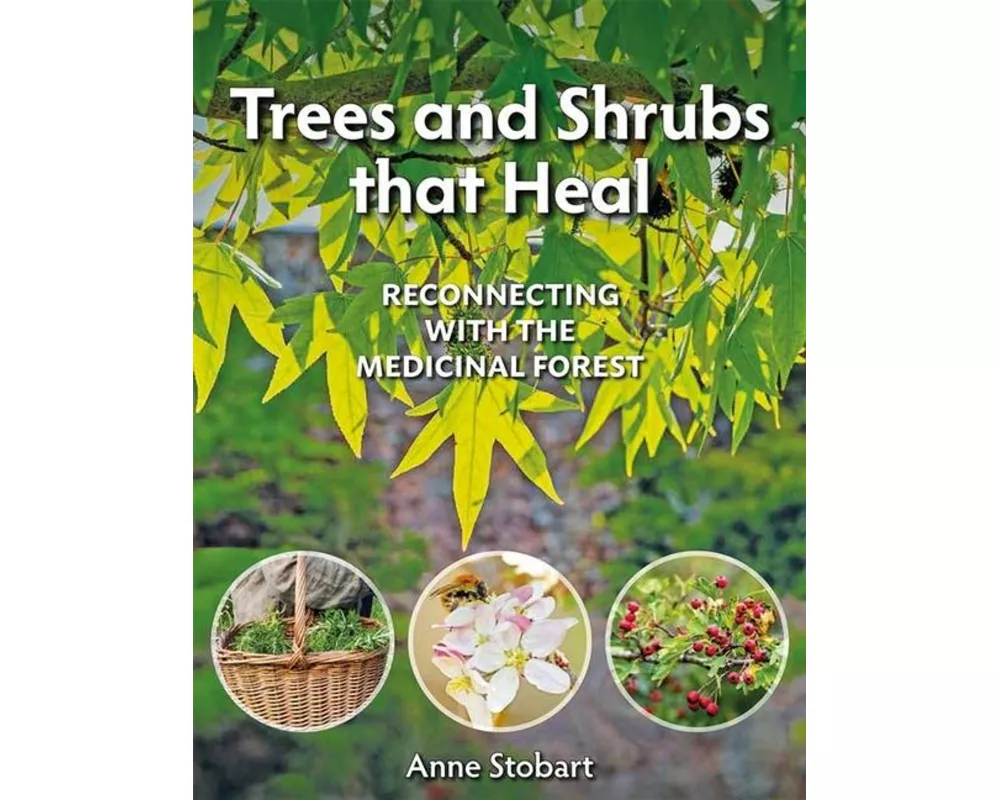 Trees and Shrubs That Heal