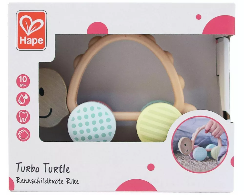 Rennschildkröte Rike