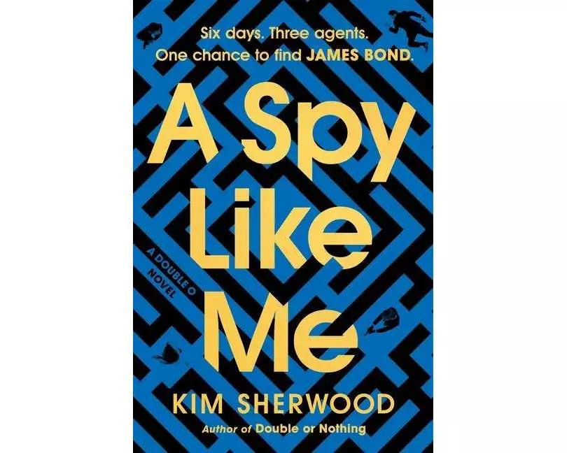 A Spy Like Me