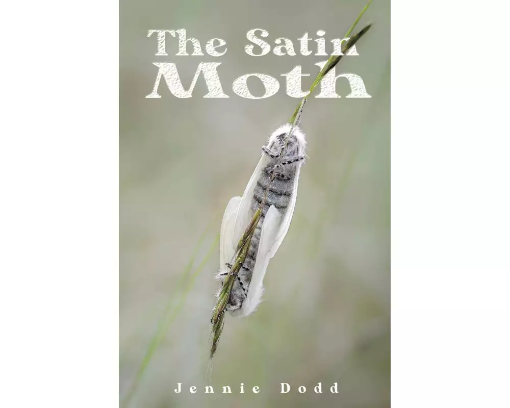 The Satin Moth