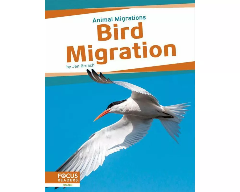 Bird Migration