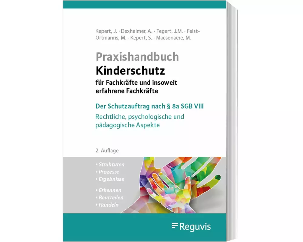 Praxishandbuch Kinderschutz für Fachkräfte und insoweit erfahrene Fachkräfte
