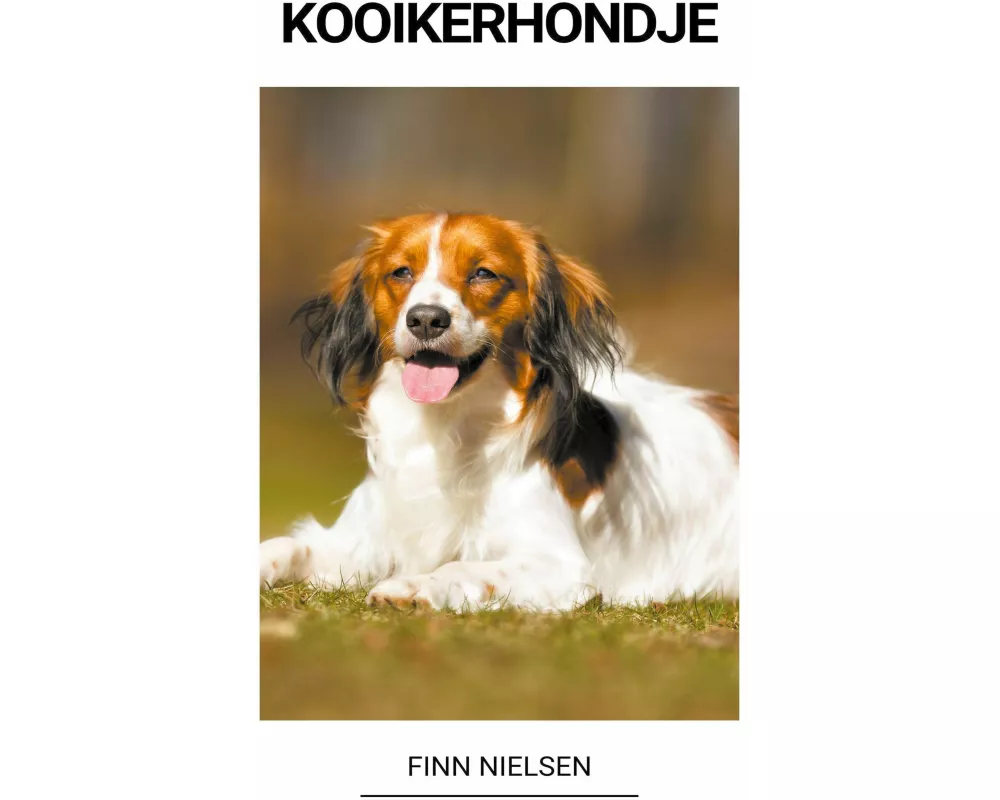 Kooikerhondje