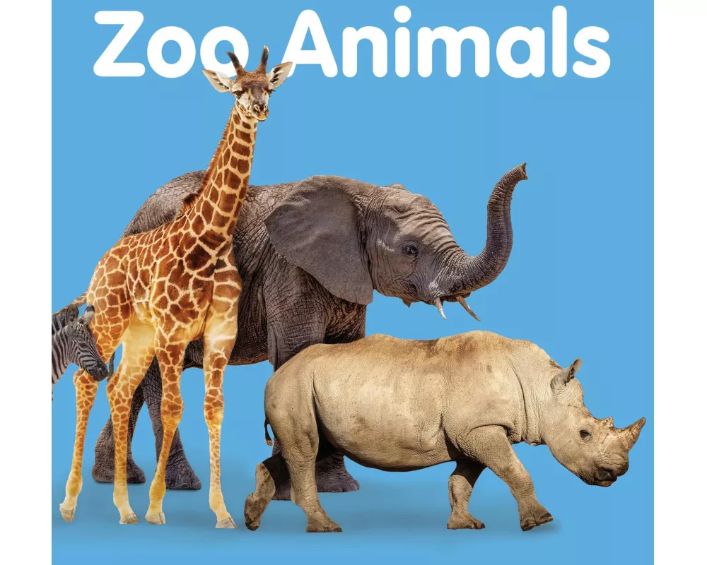 Zoo Animals