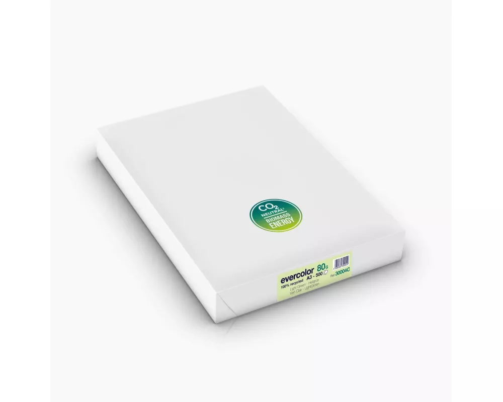 Clairefontaine Kopierpapier Evercolor A3, Hellgrün, 80 g/m²,500 Blatt