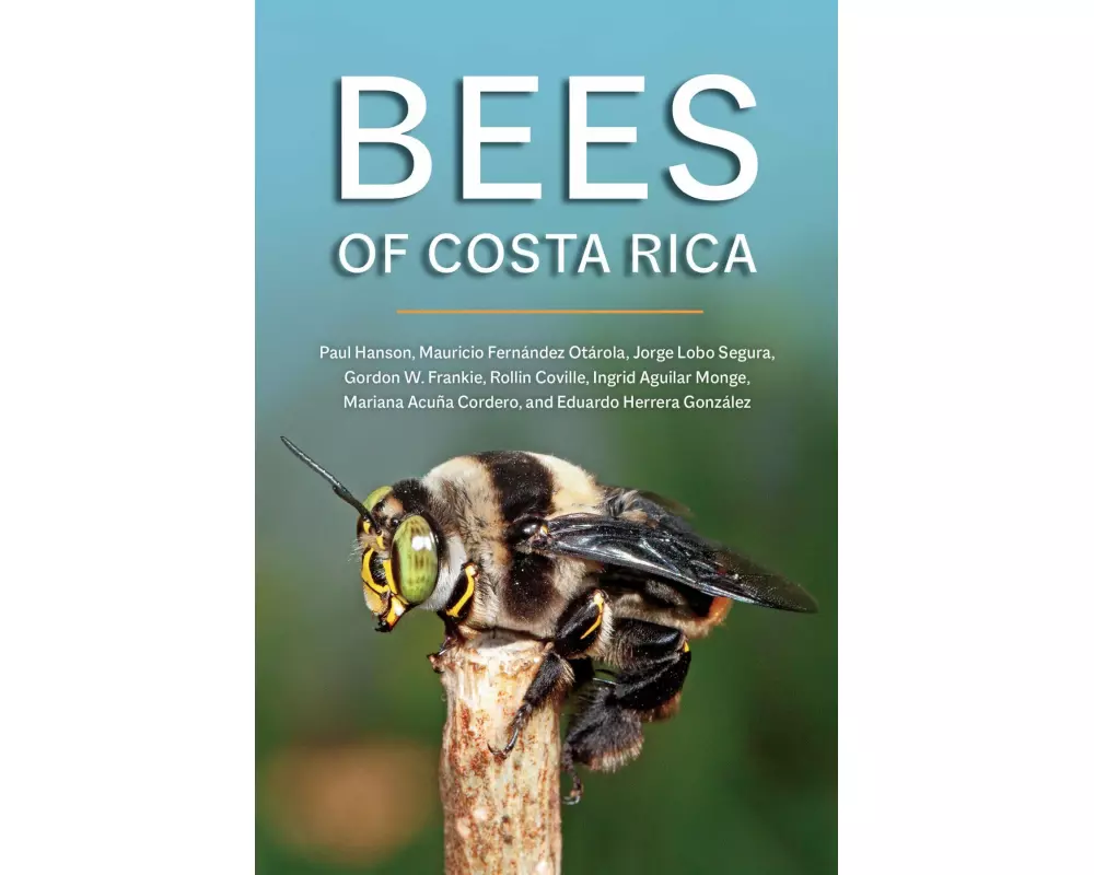 Bees of Costa Rica