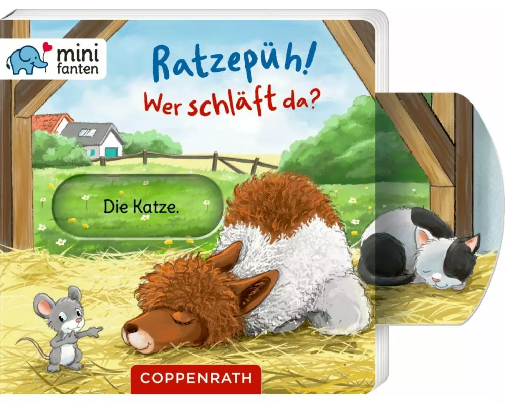 minifanten 41: Ratzepüh! Wer schläft da?