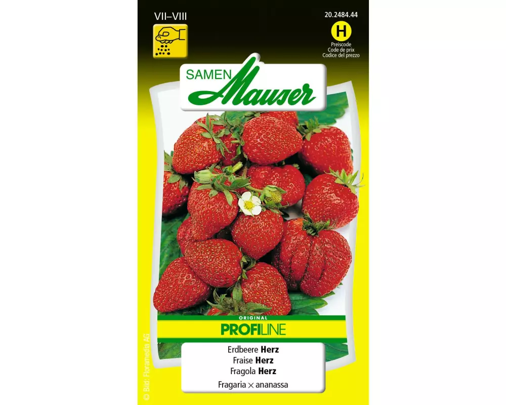 Samen Mauser Samen Profiline Erdbeere Herz