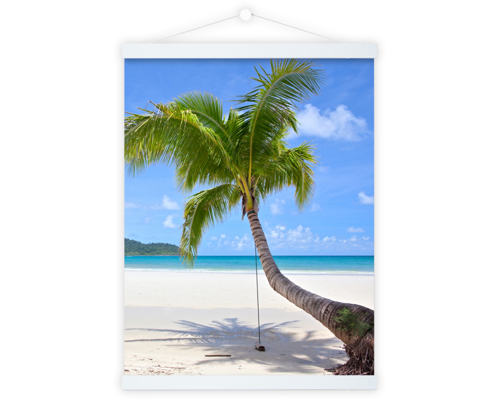 DEBEX Posterleisten 51x2cm LWMG 51 weiss, magnetisch