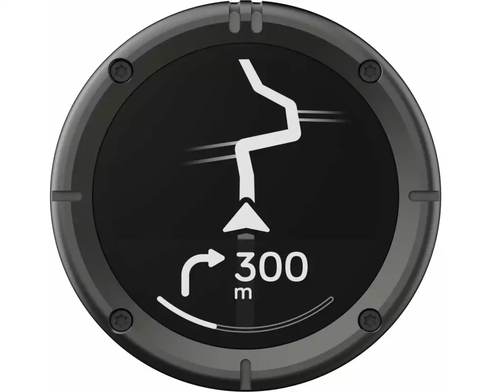 Beeline Moto 2 GPS Navi Gunmetal Grau