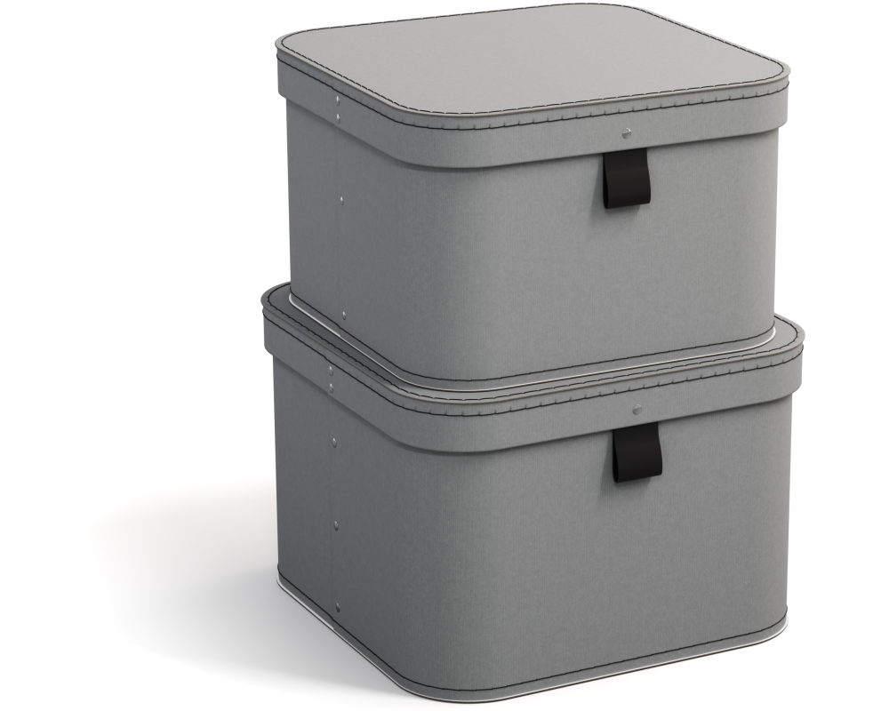 BIGSO BOX OF SWEDEN Aufbewahrungsbox Ludvig 746254133FL0 grau 2er-Set