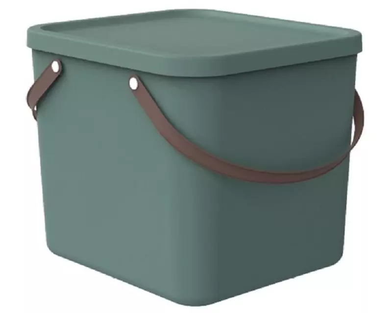 Rotho Aufbewahrungsbox Albula 40 l, Mistletoe Grün