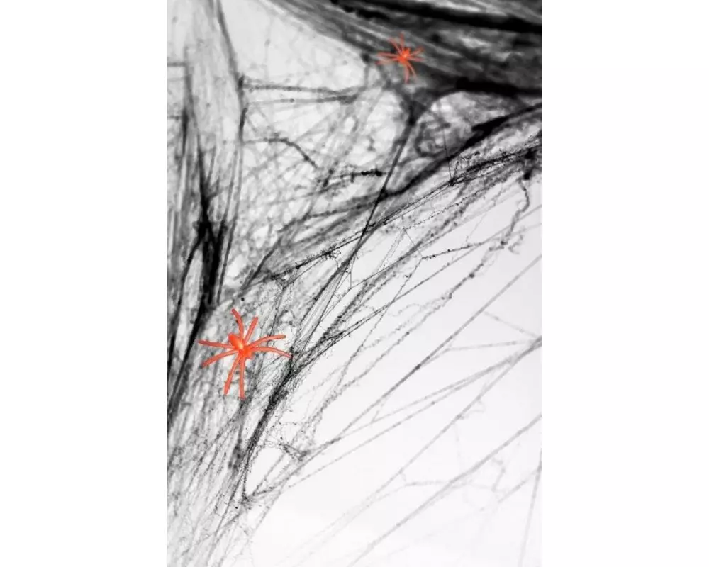 Partydeco Spinnengewebe Halloween 60g, Schwarz