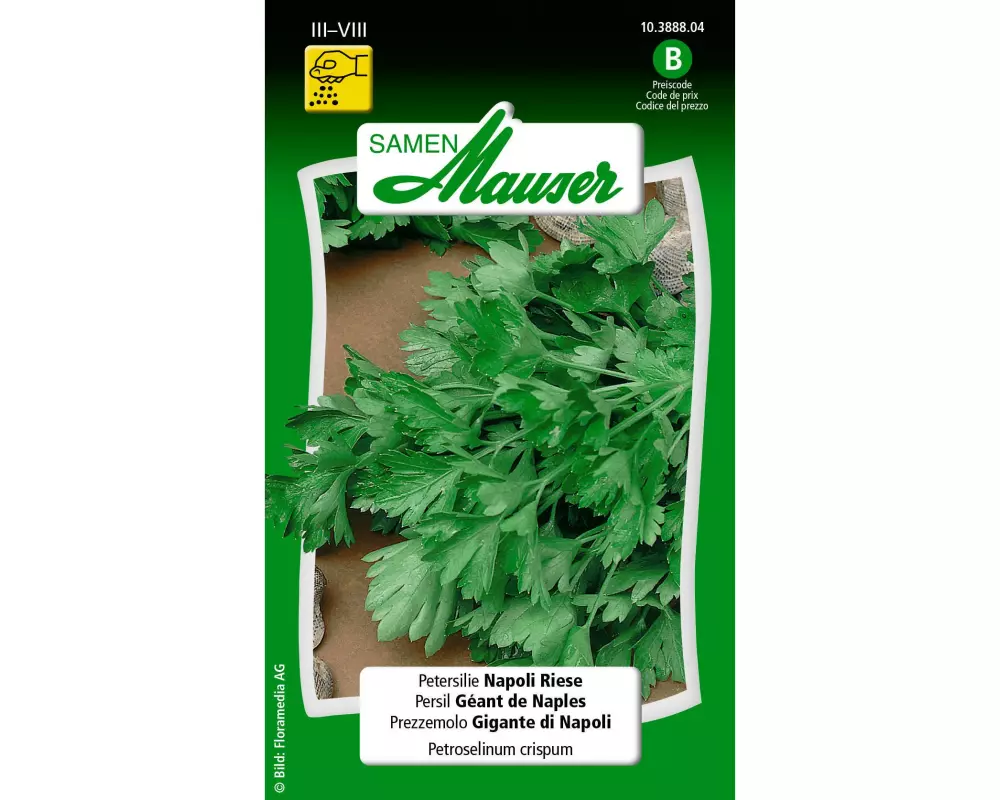 Samen Mauser Samen Petersilie Napoli Riese