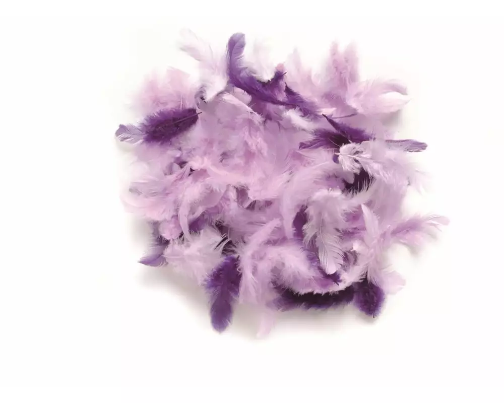Glorex Federn Deco Lila