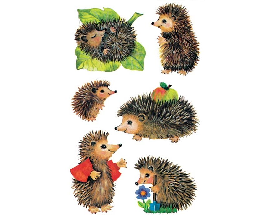 Z-DESIGN Sticker Kids 4306 Igel 3 Stück